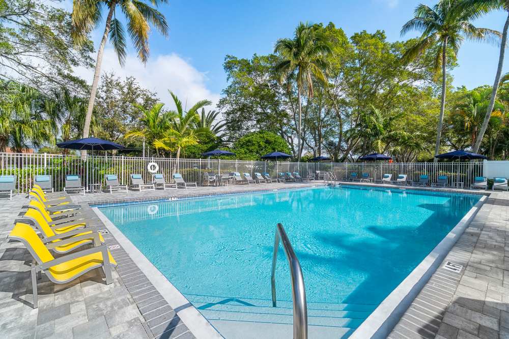Luxury inground pool with poolside lounge chairs at Boynton Place Apartments in Boynton Beach, Florida