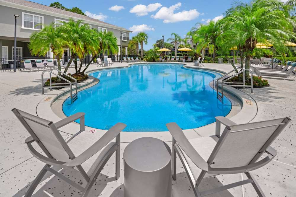 Inground luxury pool with lounge chairs at Pointe Parc at Avalon in Orlando, Florida
