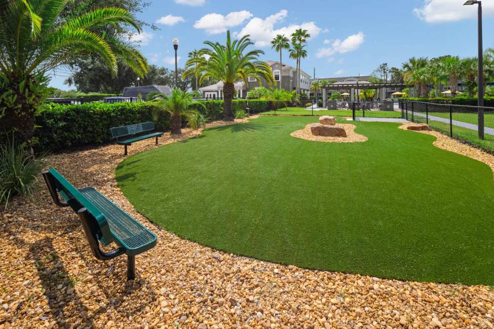 Outdoor dog park at Pointe Parc at Avalon in Orlando, Florida