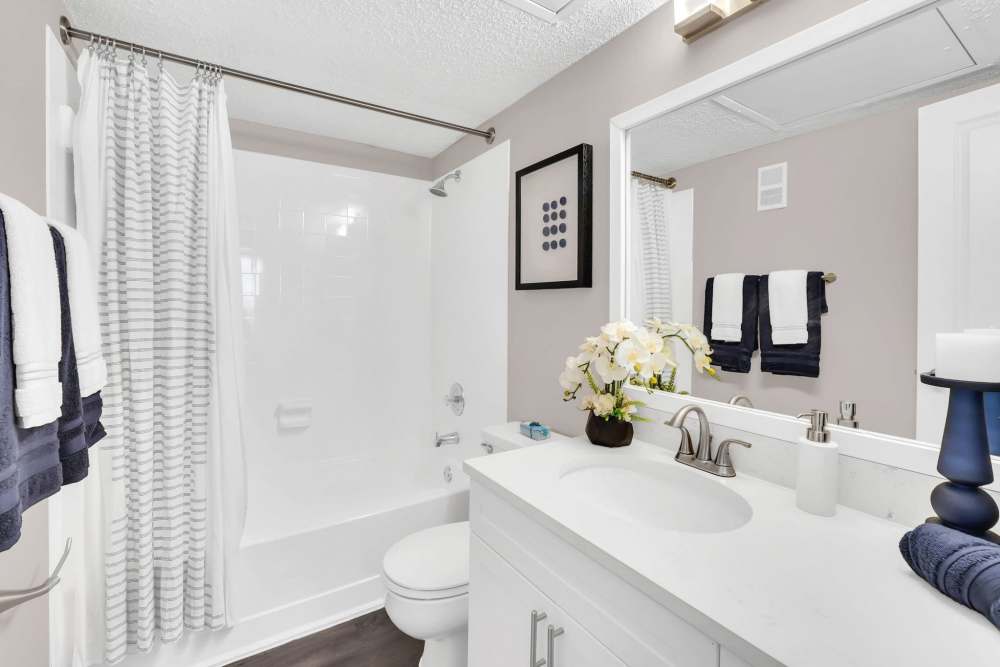 Apartment bathroom with toilet, shower, and sink at 4800 Westshore in Tampa, Florida