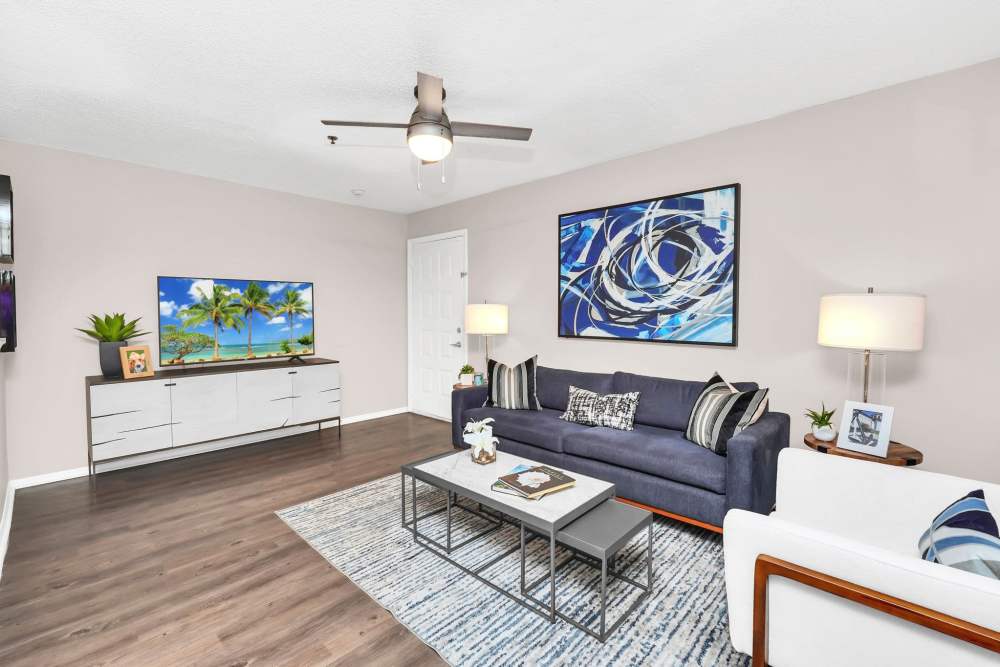 Living room with sofa, coffee table, and ceiling fan at 4800 Westshore in Tampa, Florida