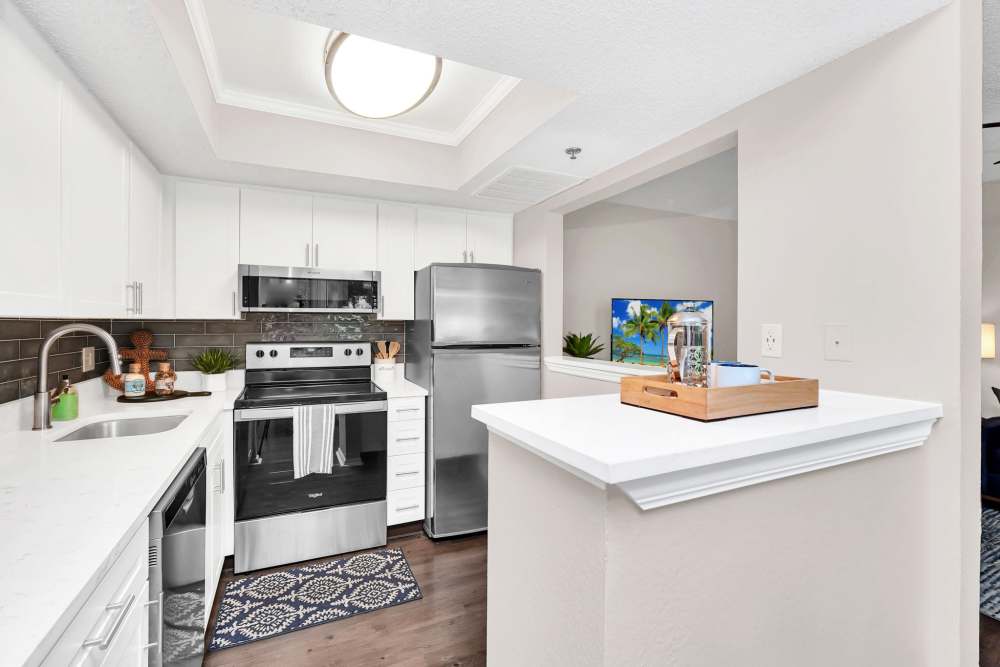 Modern apartment kitchen with stainless steel appliances at 4800 Westshore in Tampa, Florida