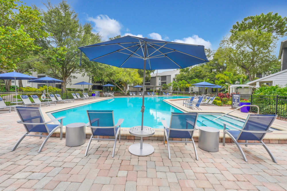 Luxury inground pool with lounge chairs at 4800 Westshore in Tampa, Florida
