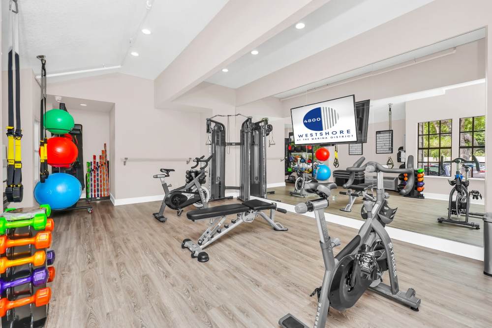 Large yoga room with free weights and cardio equipment at 4800 Westshore in Tampa, Florida