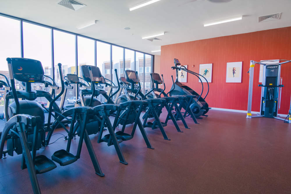 Fitness center with cardio machines at College Town Fayetteville in Fayetteville, Arkansas