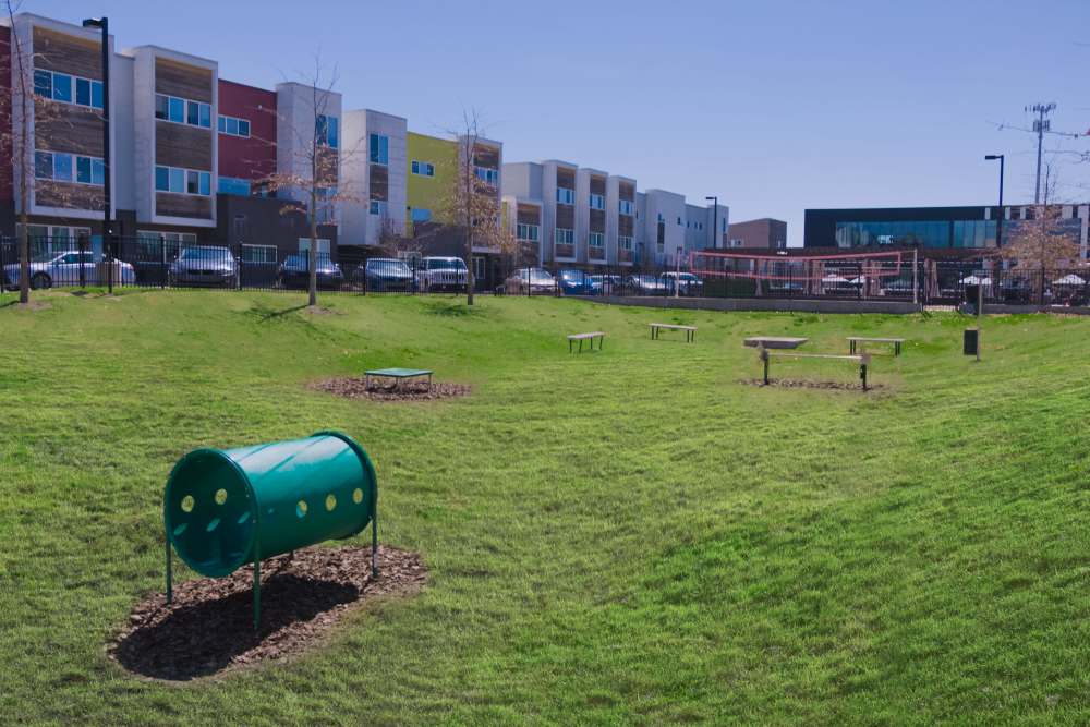 Dog park at College Town Fayetteville in Fayetteville, Arkansas