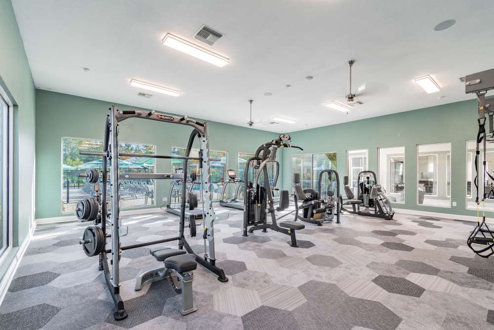 Weight room with bench press at The Parq at Cross Creek in Tampa, Florida