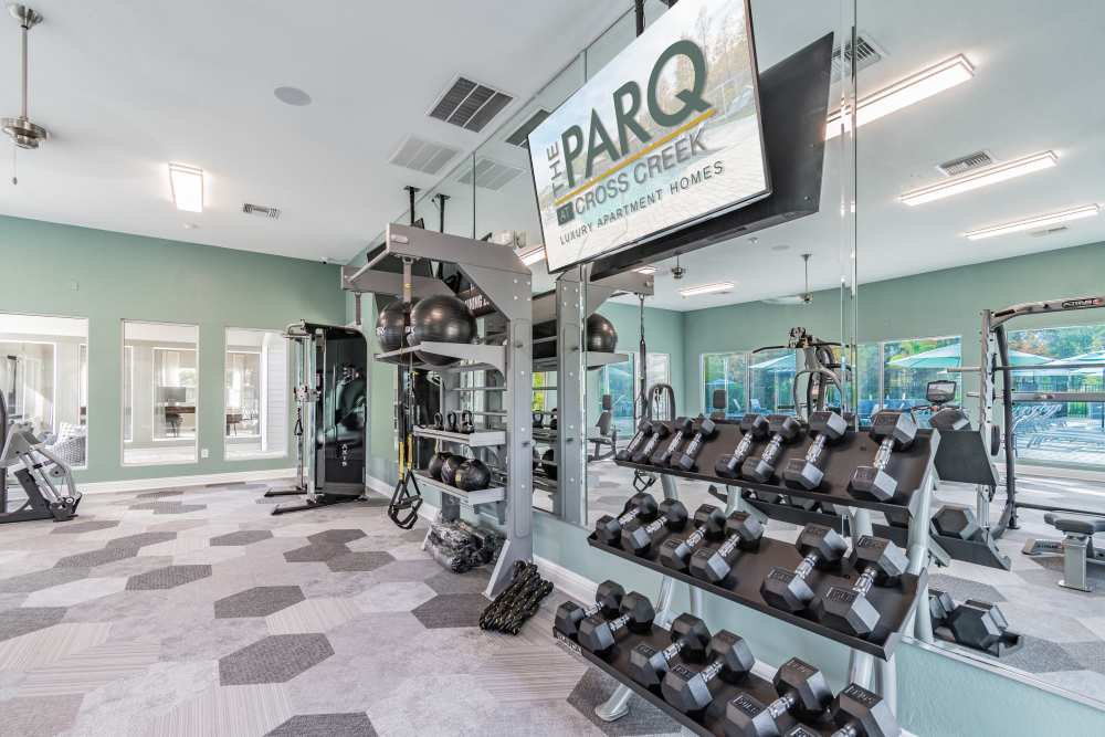 Community fitness center with dumbbells at The Parq at Cross Creek in Tampa, Florida
