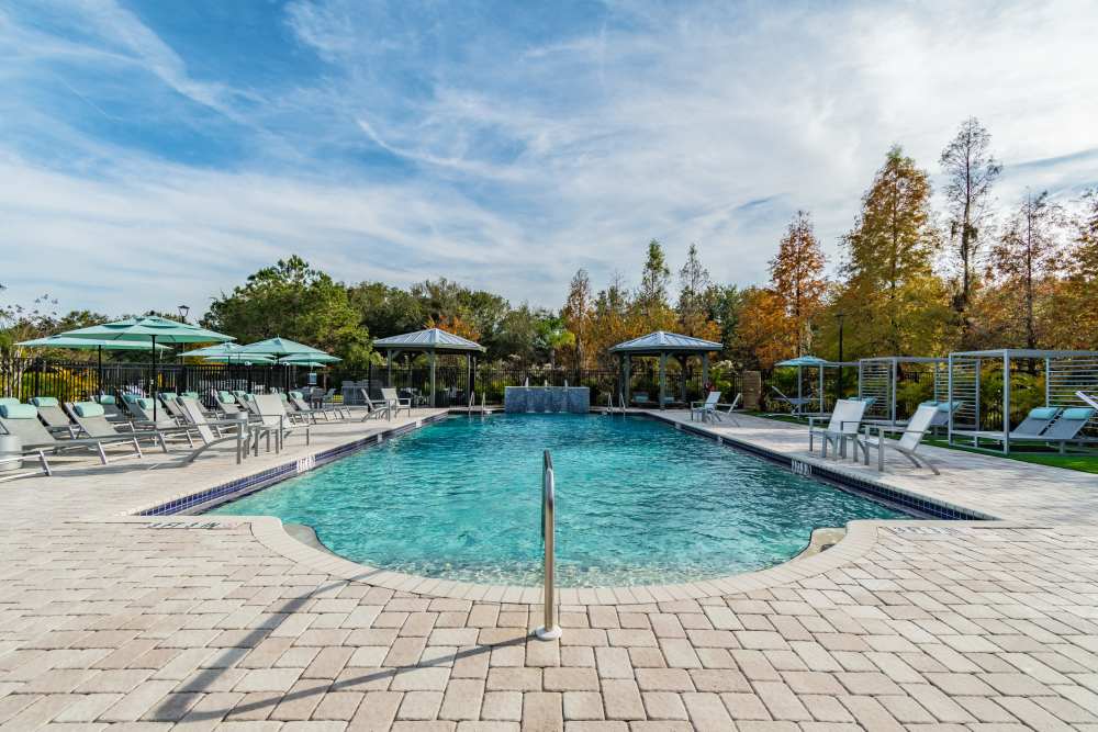 Luxury inground pool at The Parq at Cross Creek in Tampa, Florida
