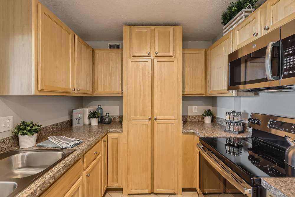 Apartment kitchen with granite counters and stainless steel appliances at Waters Pointe in South Pasadena, Florida