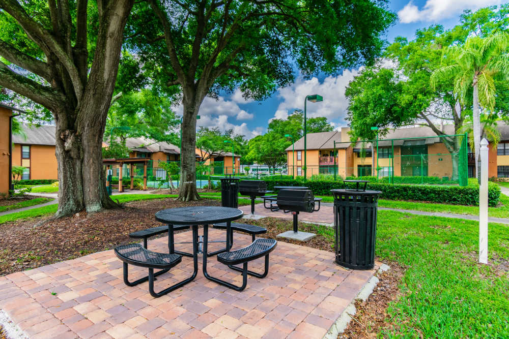 BBQ and picnic area at Waterstone At Carrollwood in Tampa, Florida