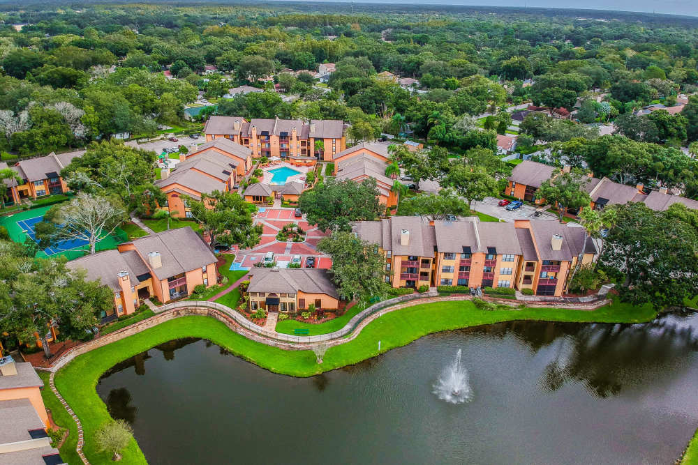 Aerial view of apartment complex and large pond at Waterstone At Carrollwood in Tampa, Florida