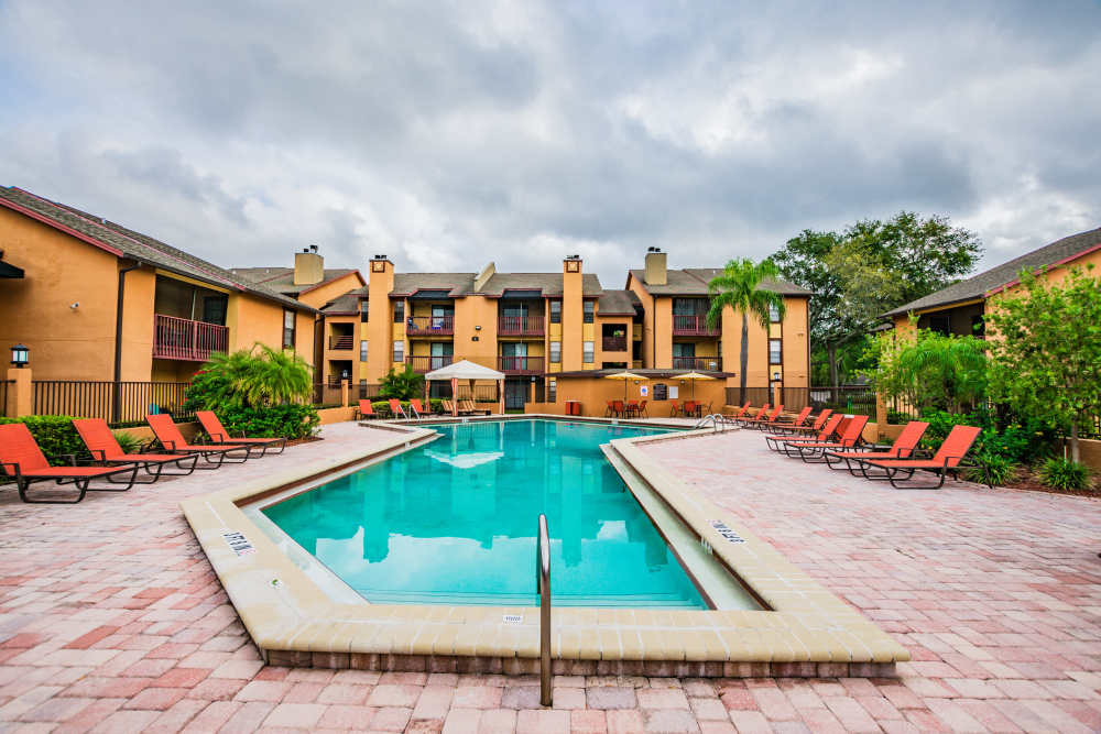 Luxury inground pool at Waterstone At Carrollwood in Tampa, Florida