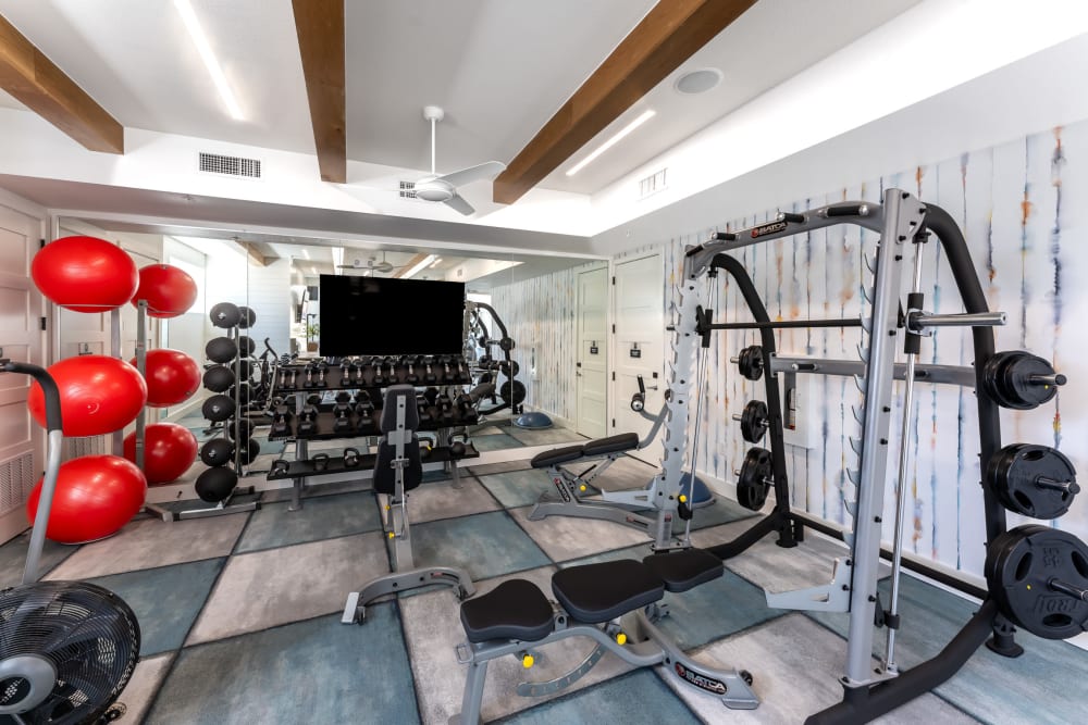 24 hour fitness center with squat rack and free weights at The Bennett in Austin, Texas