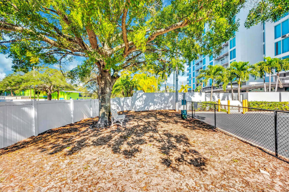 Our dog park at Elements on Third in St Petersburg, Florida