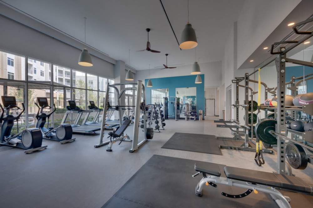 Tall ceilings in the well-equipped fitness center at The Daley at Shady Grove Metro in Rockville, Maryland