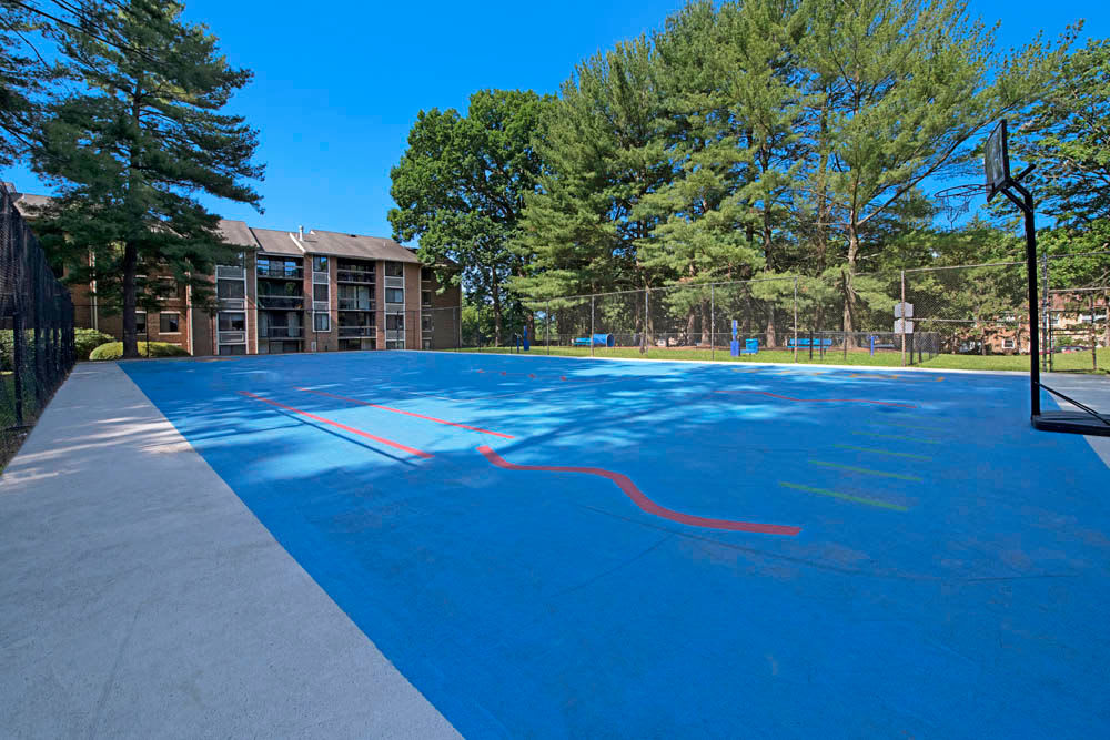 Basketball court at Apartments in Springfield, Virginia