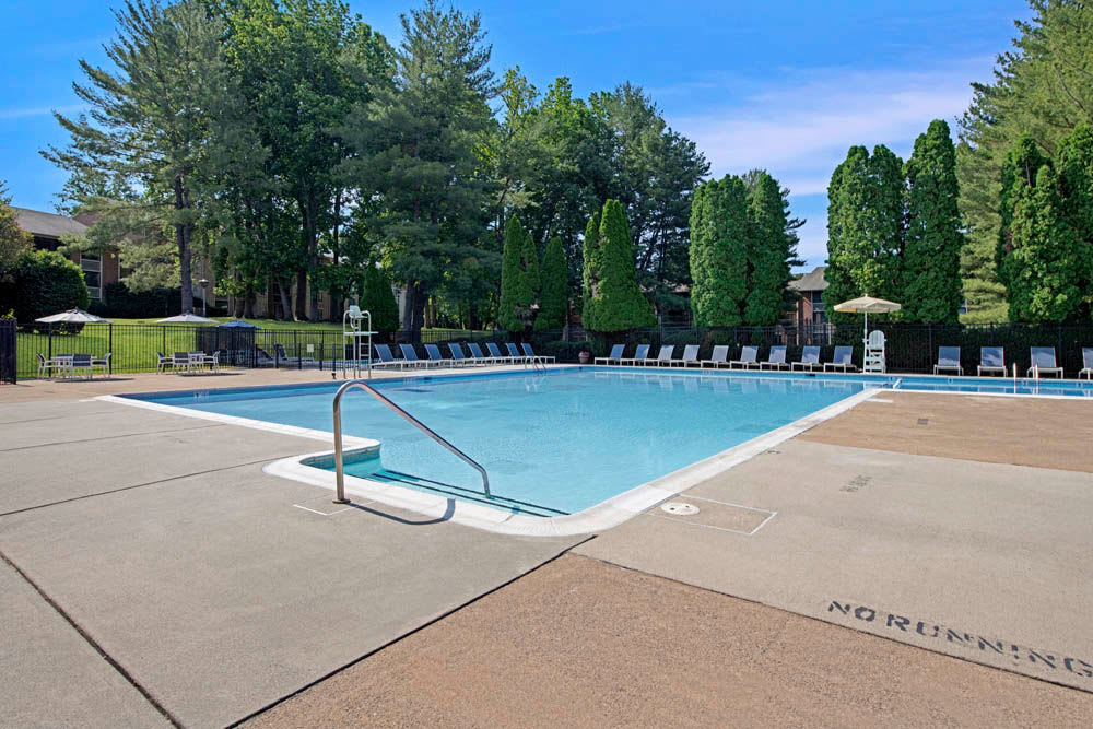 Pool side at Apartments in Springfield, Virginia