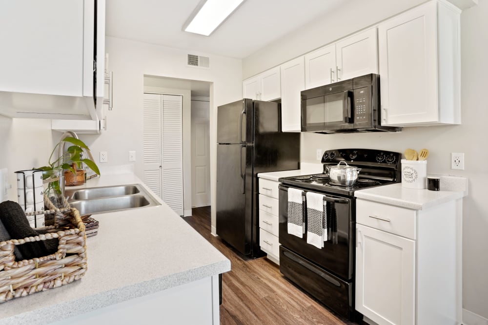 Kitchen with wood-style flooring and black appliances at Royal Ridge Apartments in Midvale, Utah
