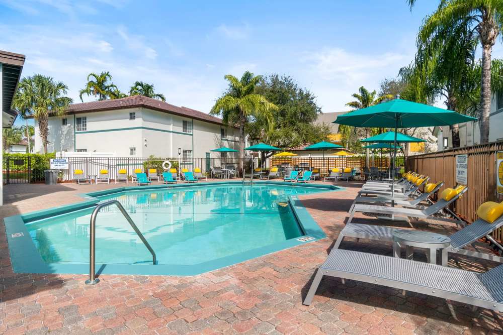 Luxury inground pool at Nova Central Apartments in Davie, Florida