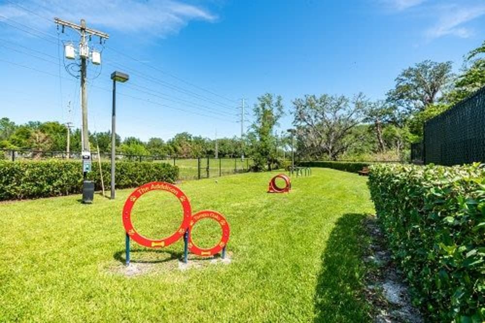 Community bark park with obstacles at Addison at Tampa Oaks in Temple Terrace, Florida