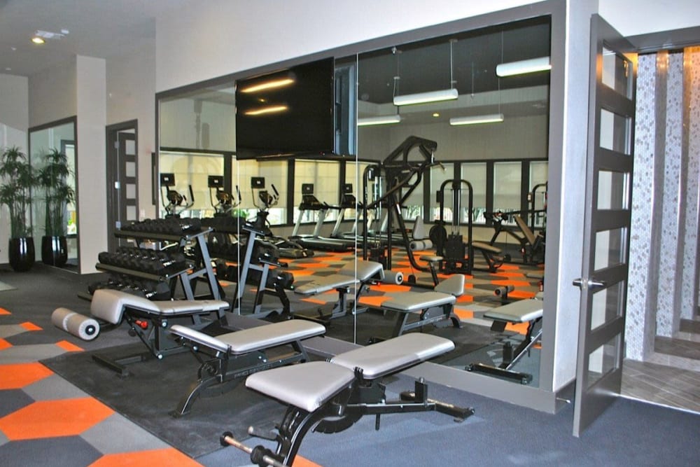 Community fitness center with large mirror and dumbbells at Addison at Tampa Oaks in Temple Terrace, Florida