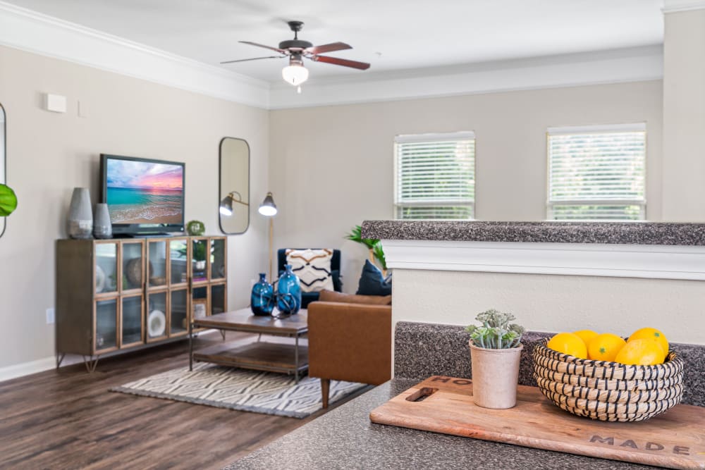 Our Beautiful Apartments in Cordova, Tennessee showcase a Living Room
