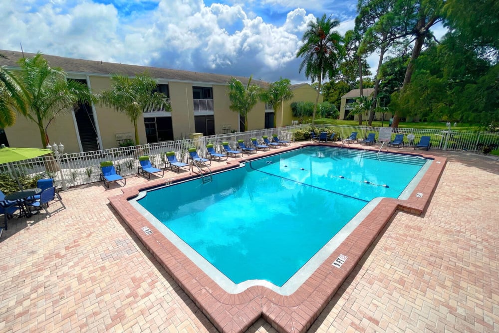 Luxury inground pool at Garden Grove in Sarasota, Florida