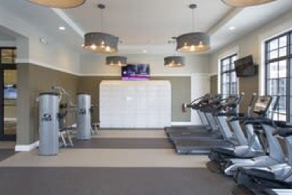Community fitness center with treadmills at Shalimar at Davie in Davie, Florida