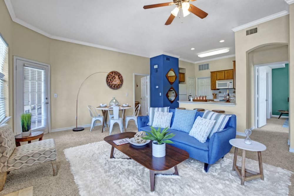 One Bedroom Apartment at The Anthony at Canyon Springs in San Antonio, Texas
