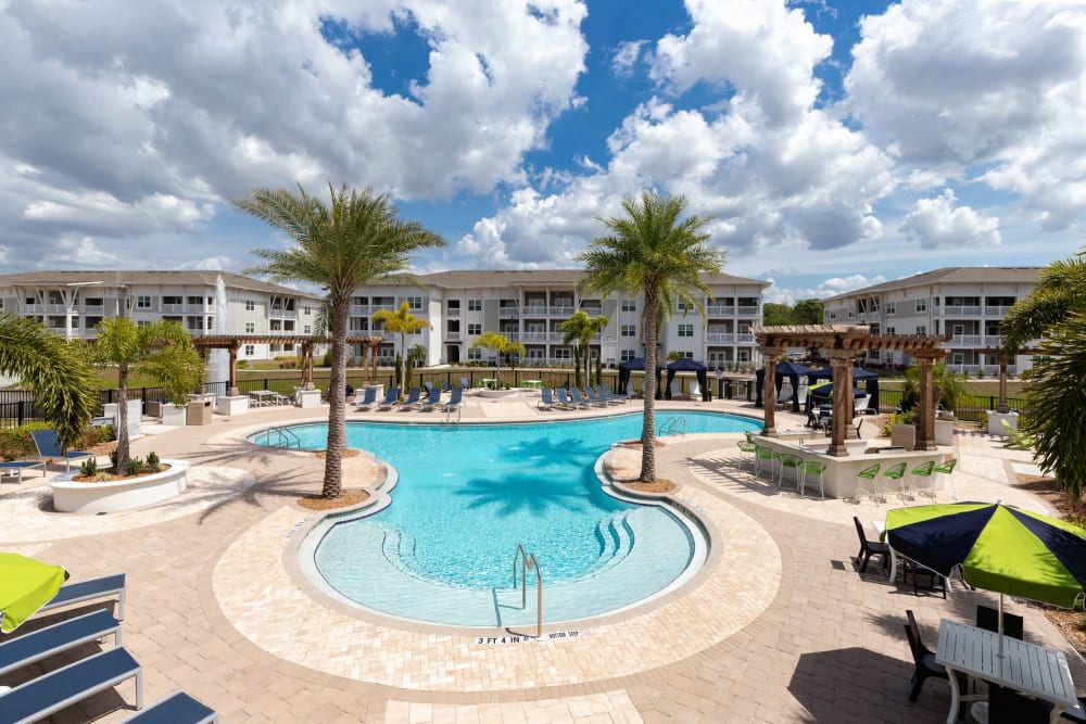 Luxury inground pool at The Iris at Northpointe in Lutz, Florida