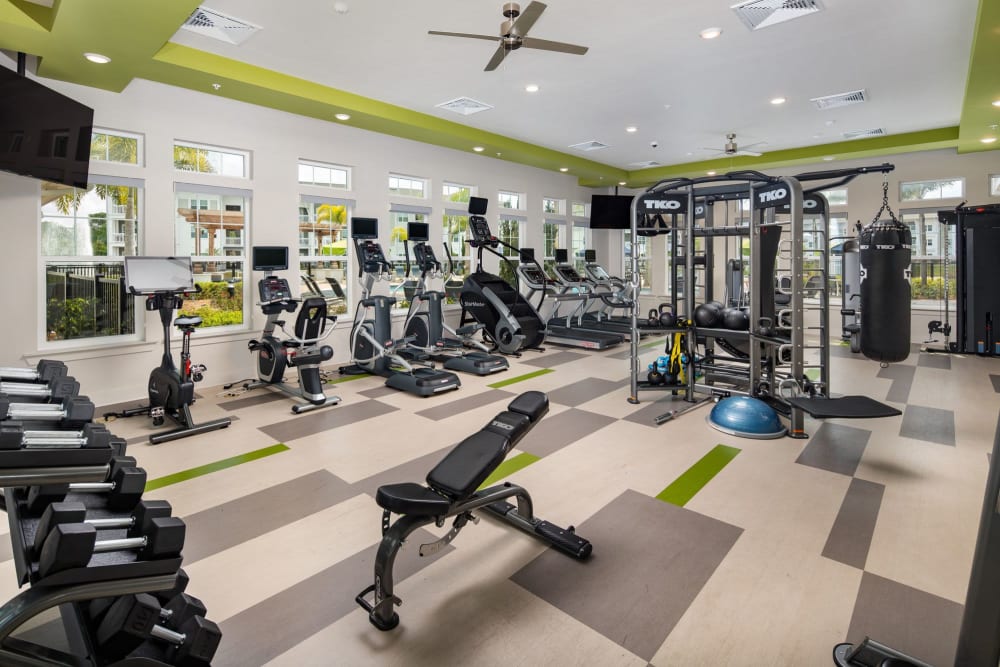 Community gym with free weights at The Iris at Northpointe in Lutz, Florida