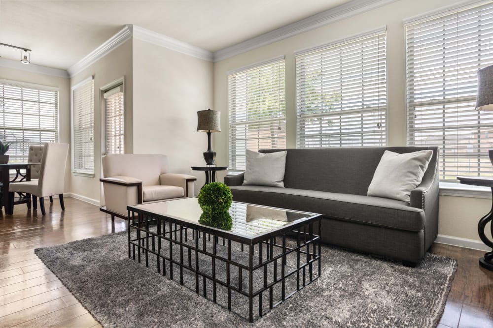 Well-furnished living area with hardwood floors in a model apartment at Olympus Woodbridge in Sachse, Texas