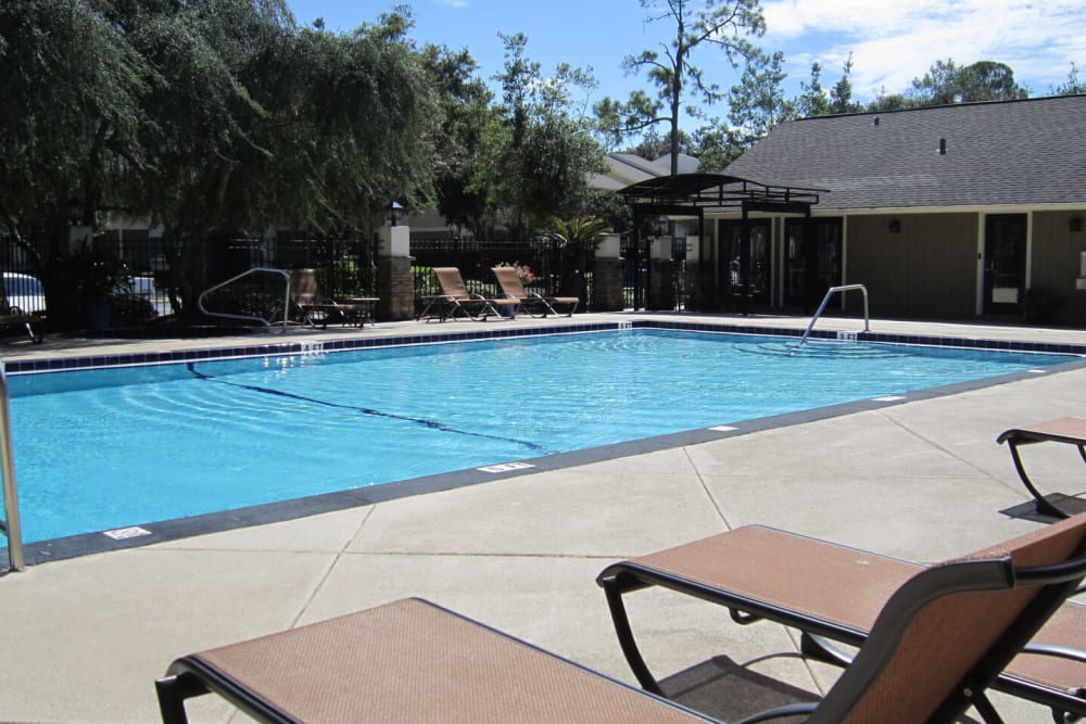 Community inground pool with lounge seating at Stone Creek in Tampa, Florida