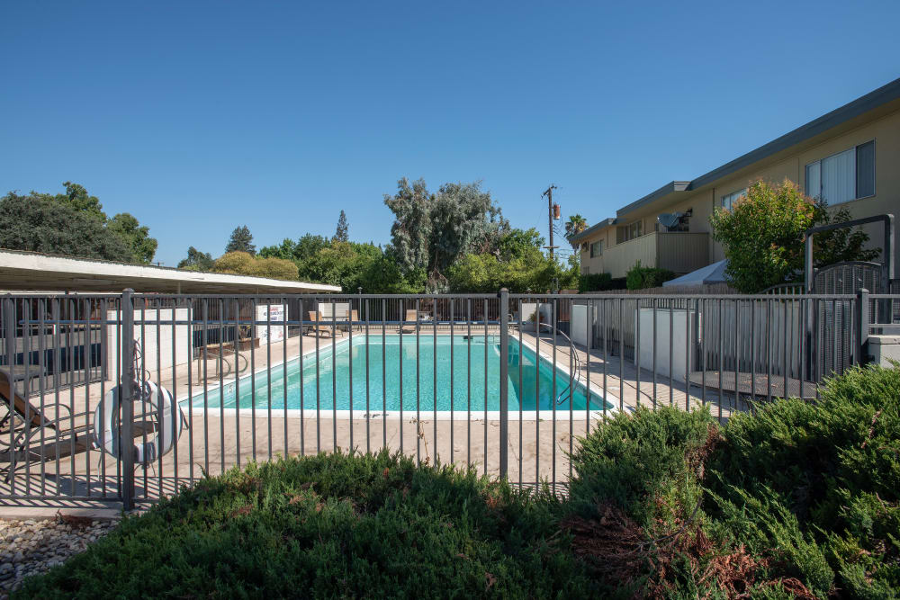 Pool at Arden Palms Apartments in Sacramento, California