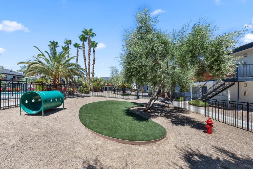 Dog park at District 5800 in Las Vegas, Nevada
