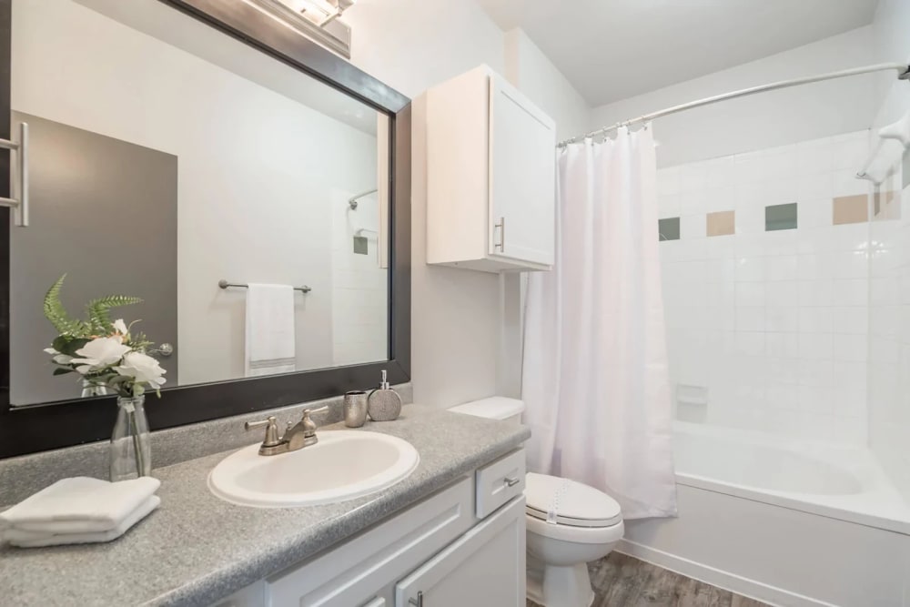 Our Cozy Apartments in Plano, Texas showcase a Bathroom