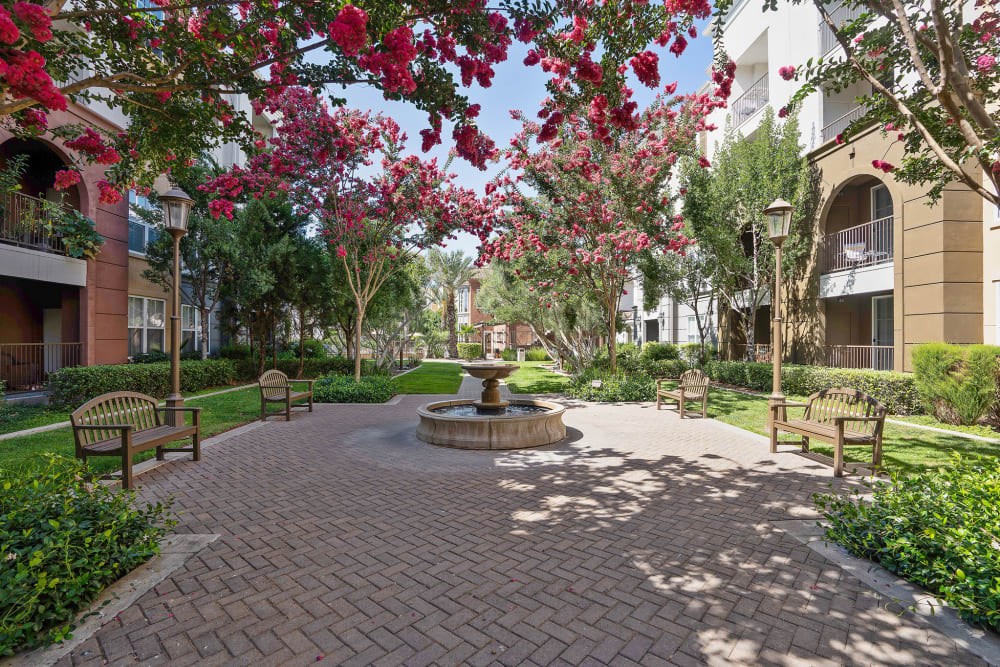 Beautiful courtyard at Park Central in Concord, California