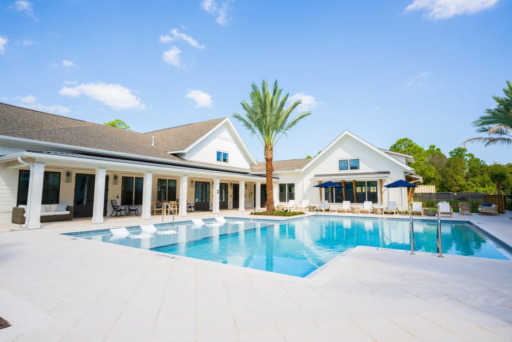 Dog-Friendly Apartments in Jacksonville, FL - Olea Beach Haven - Resort-Style Pool with White Lounge Chairs, Palm Trees, and Exterior View of Apartment Complex