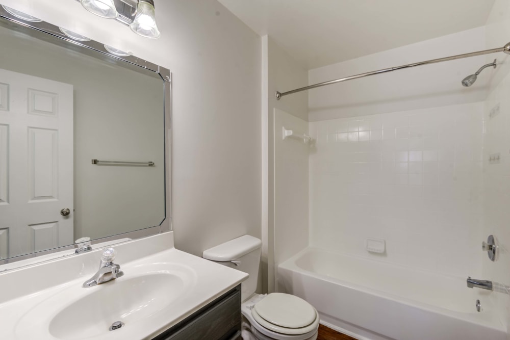 Bathroom at Park at Winterset Apartments in Owings Mills, Maryland