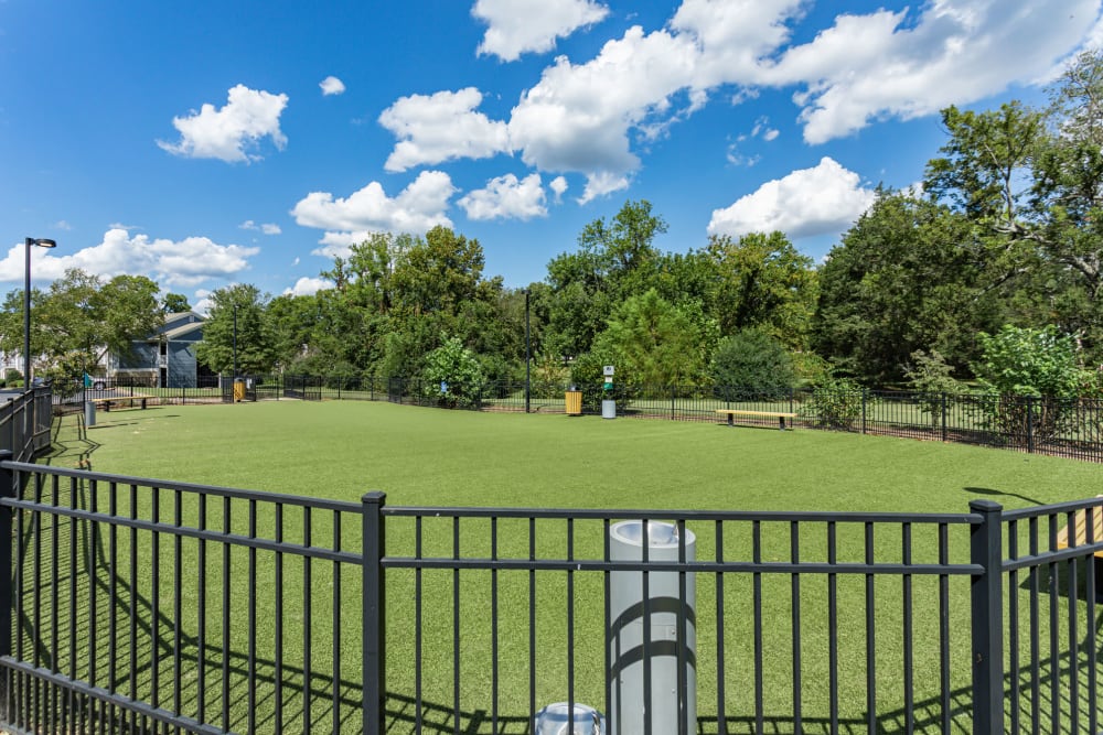 Fenced dog park in canine play zone at 865 Bellevue Apartments in Nashville, Tennessee.