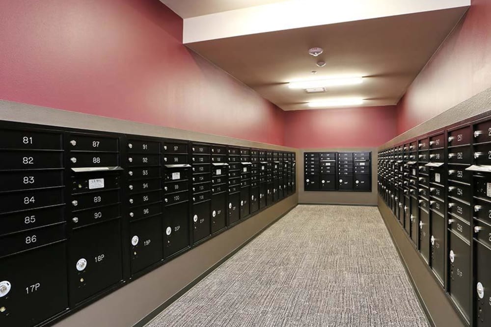locker room at Cedar Pointe in Arlington, Washington