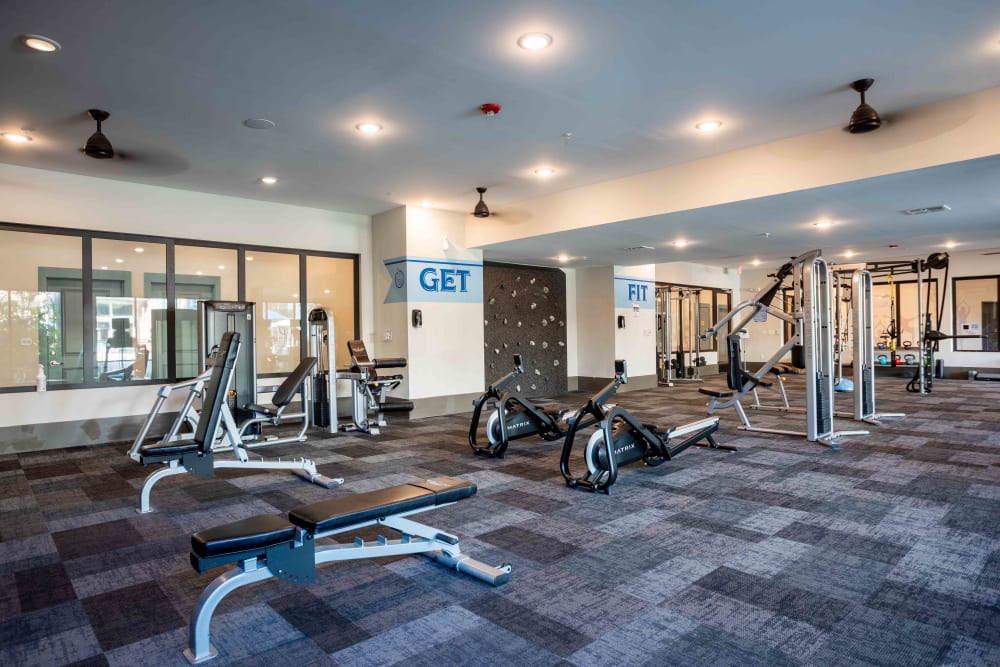 Rowing stations and other exercise equipment in the fitness room at Bluebird Row in Chattanooga, Tennessee