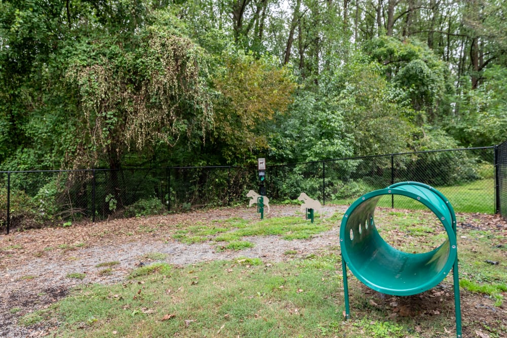 Dog park with agility equipment at The Timbers at Long Reach Apartments in Columbia , Maryland