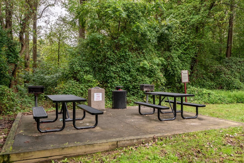Picnic area at The Timbers at Long Reach Apartments in Columbia , Maryland