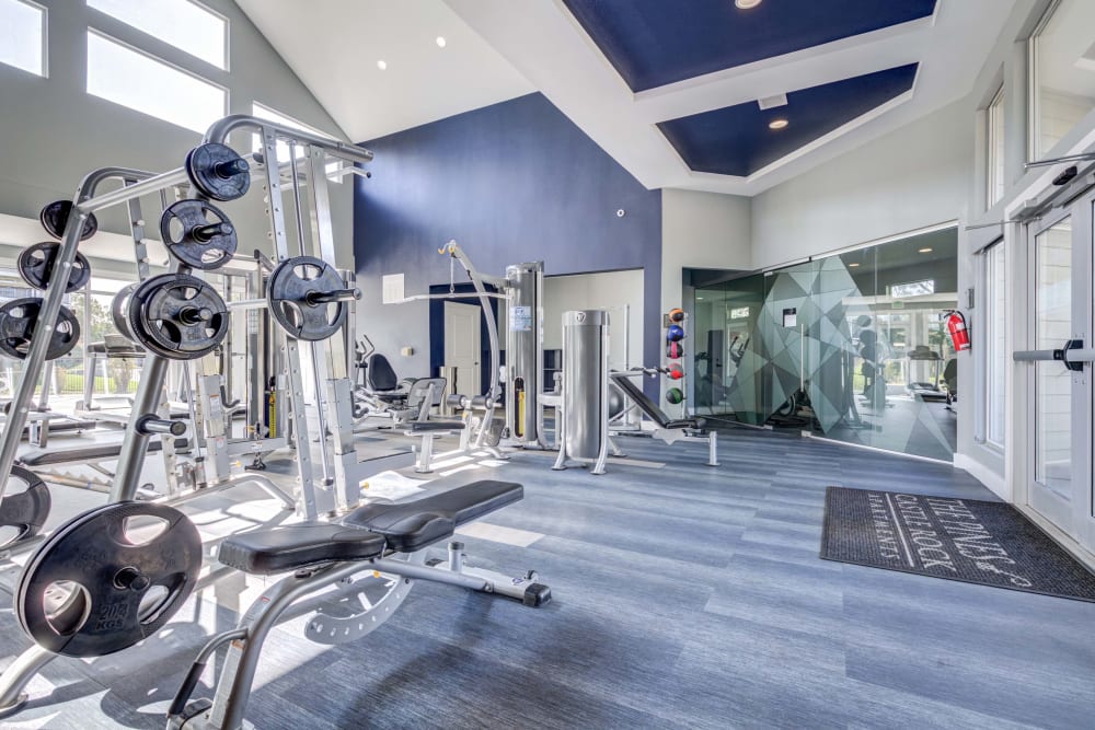 Variety of free weights and fitness equipment at The Pines at Castle Rock Apartments's fitness center in Castle Rock, Colorado