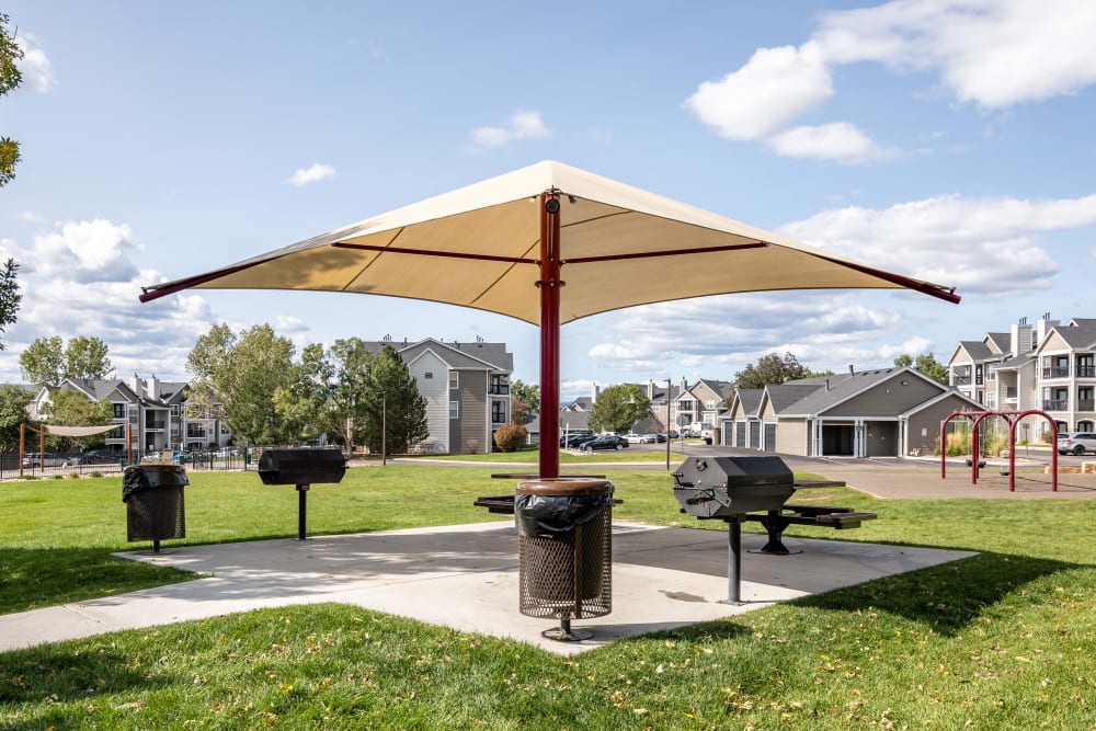 Picnic table with oversized, sunshade and barbecue station at The Pines at Castle Rock Apartments in Castle Rock, Colorado