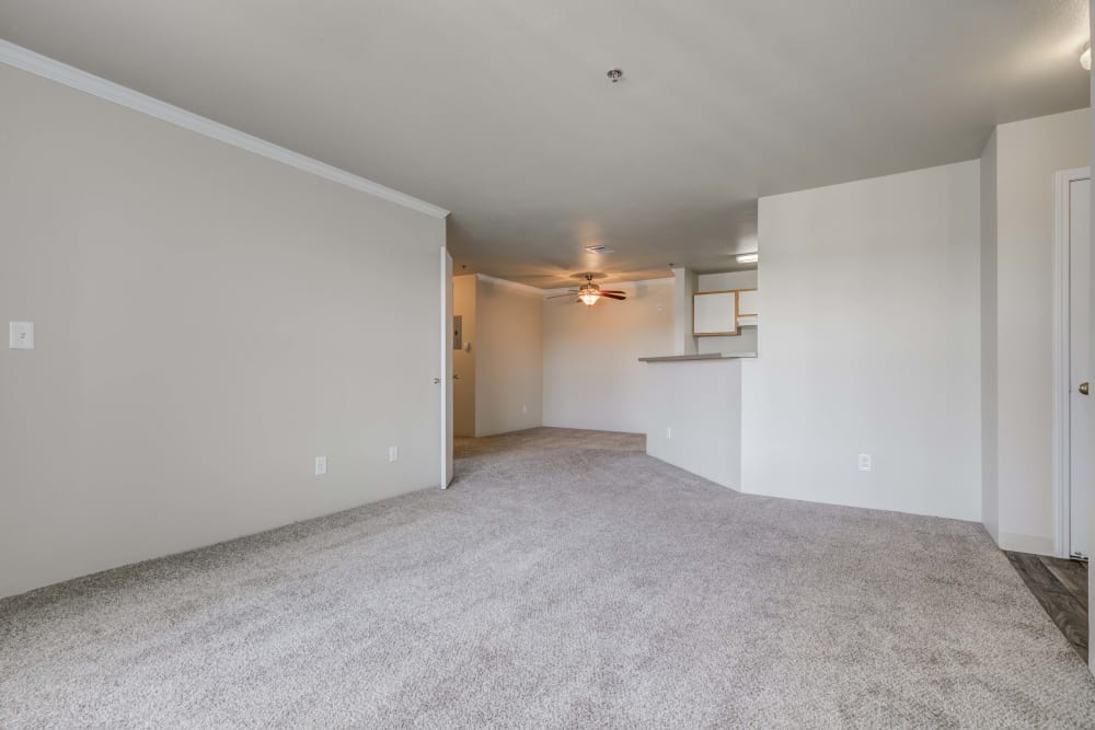 Our Apartments in Castle Rock, Colorado offer a spacious living room