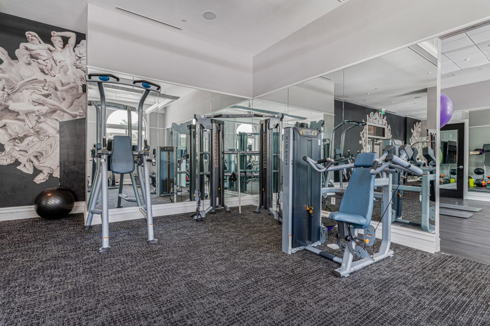 State-of-the-art onsite fitness center at Olympus Harbour Island in Tampa, Florida