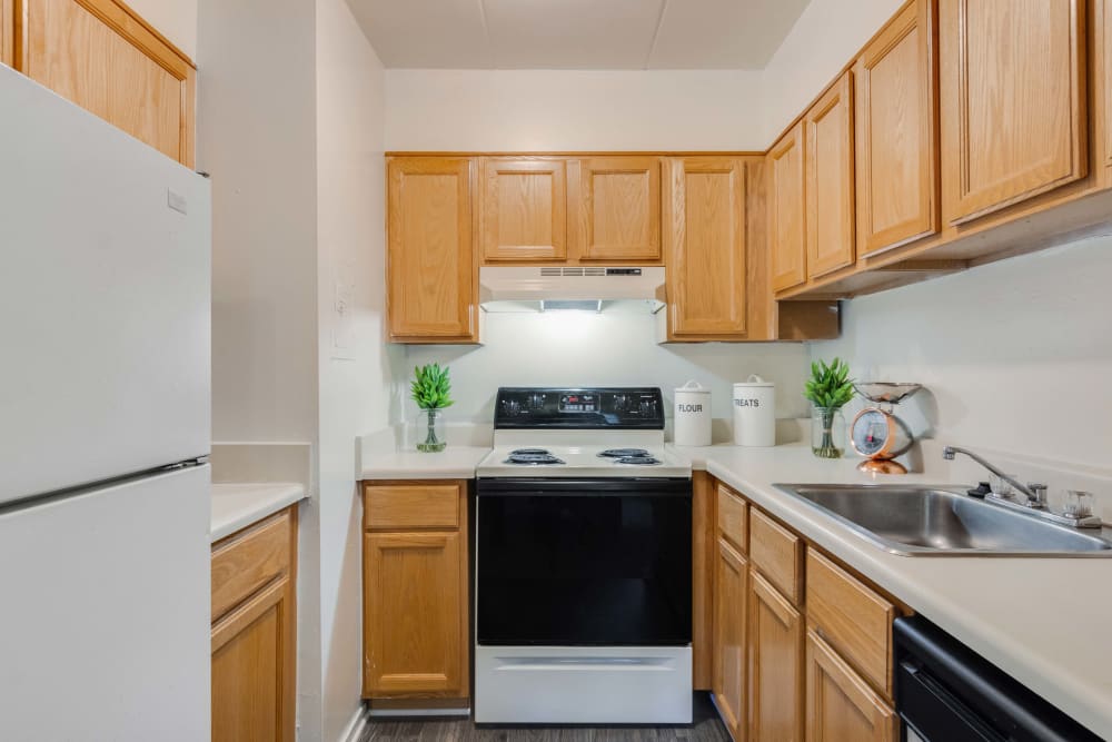 Kitchen with white refrigerator and black oven at Parkway Apartments in Williamsburg, Virginia